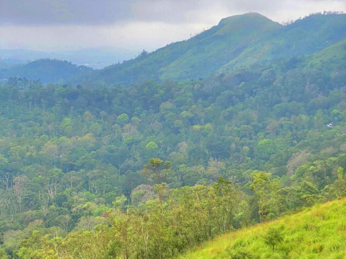 The Windy Mist Resort Munnar Chinnakanal Exteriör bild